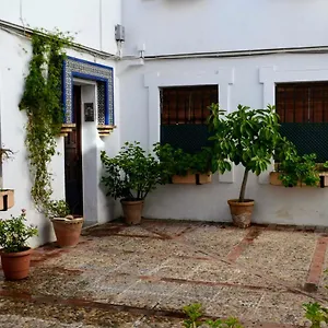El Patio De La Aljama Córdoba